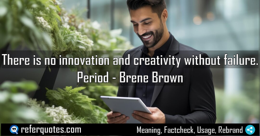 There is no innovation and creativity without failure Meaning Factcheck Usage