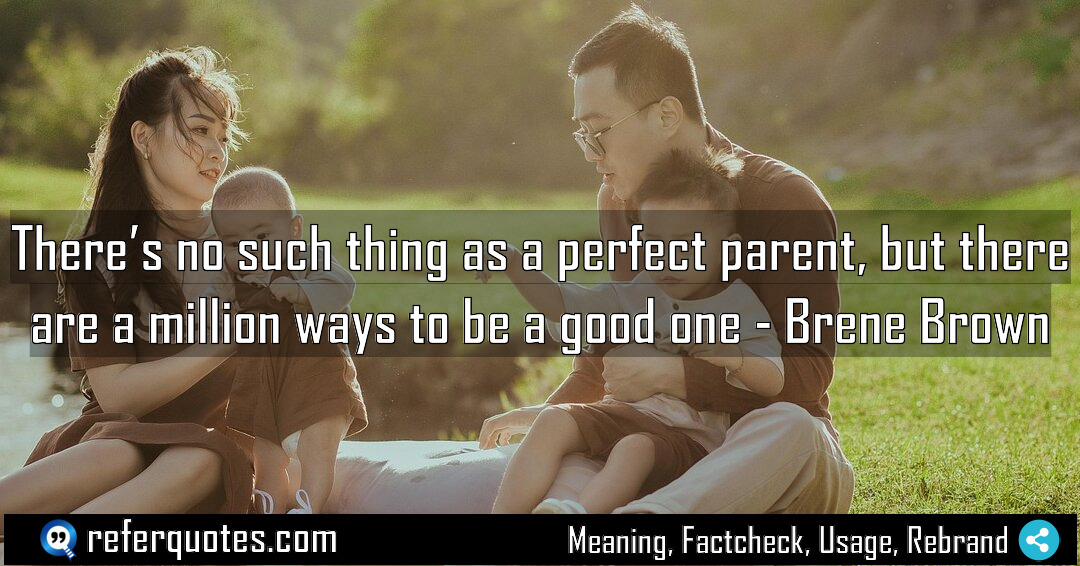 There s no such thing as a perfect Meaning Factcheck Usage