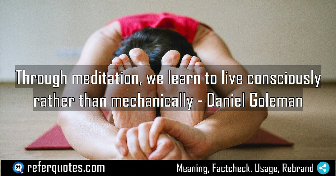 Through meditation we learn to live consciously rather Meaning Factcheck Usage