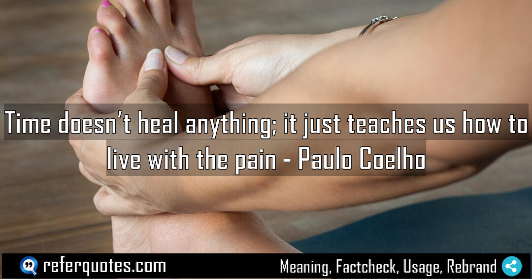Time doesn t heal anything it just teaches Meaning Factcheck Usage