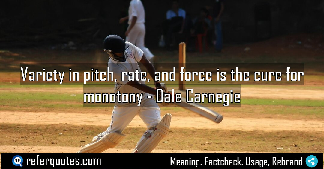 Variety in pitch rate and force is the Meaning Factcheck Usage