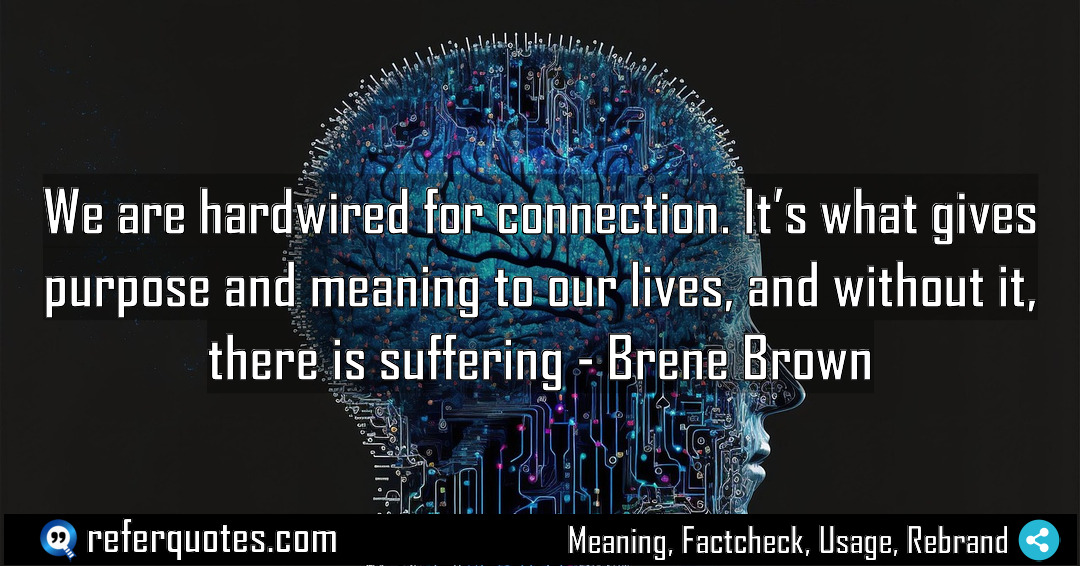 We are hardwired for connection It s what Meaning Factcheck Usage