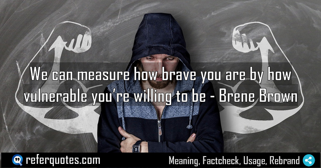 We can measure how brave you are by Meaning Factcheck Usage