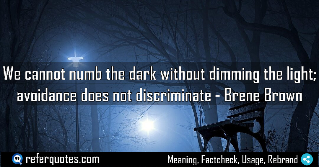 We cannot numb the dark without dimming the Meaning Factcheck Usage