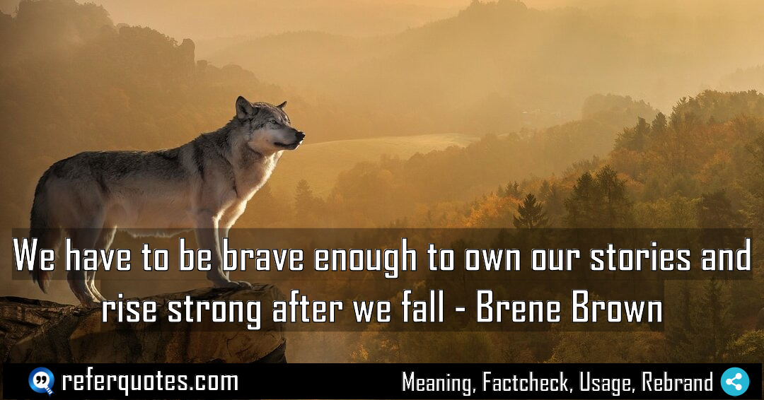 We have to be brave enough to own Meaning Factcheck Usage