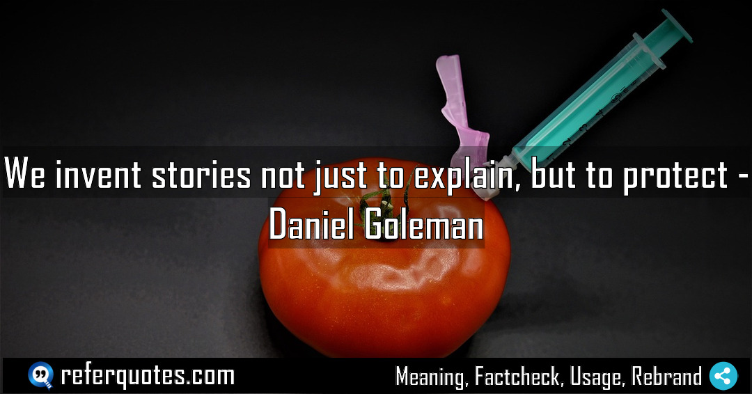 We invent stories not just to explain but Meaning Factcheck Usage