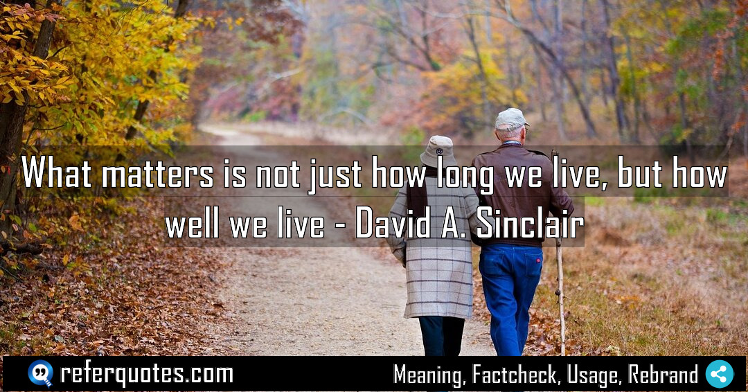 What matters is not just how long we Meaning Factcheck Usage