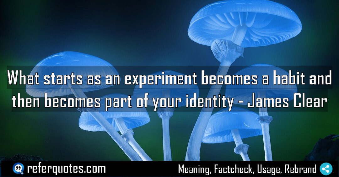 What starts as an experiment becomes a habit Meaning Factcheck Usage