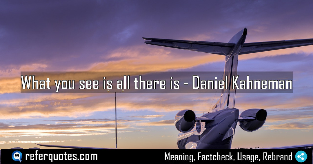 What you see is all there is Meaning Factcheck Usage