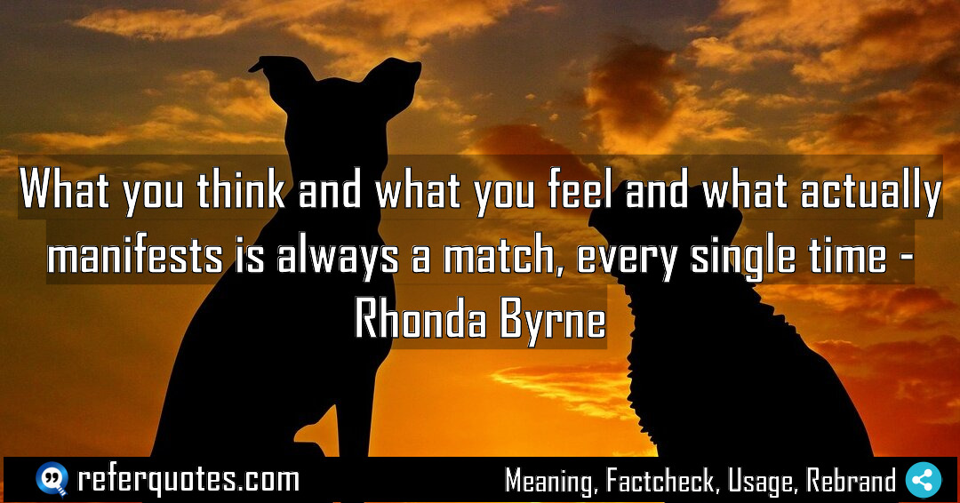 What you think and what you feel and Meaning Factcheck Usage