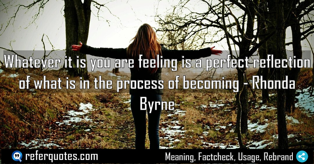 Whatever it is you are feeling is a Meaning Factcheck Usage
