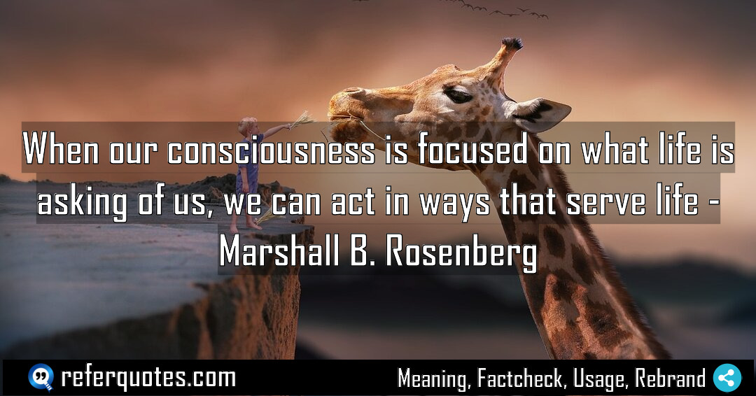 When our consciousness is focused on what life Meaning Factcheck Usage