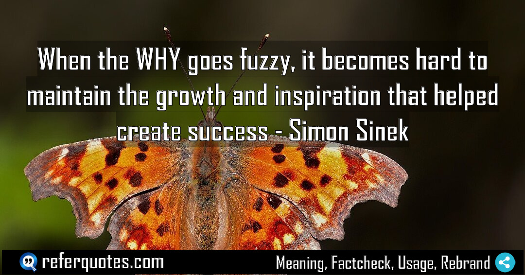 When the WHY goes fuzzy it becomes hard Meaning Factcheck Usage
