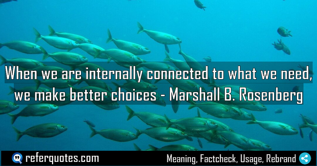 When we are internally connected to what we Meaning Factcheck Usage