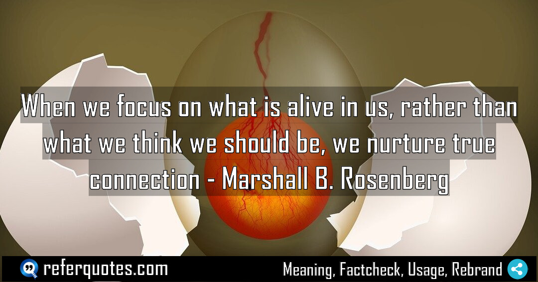 When we focus on what is alive in Meaning Factcheck Usage
