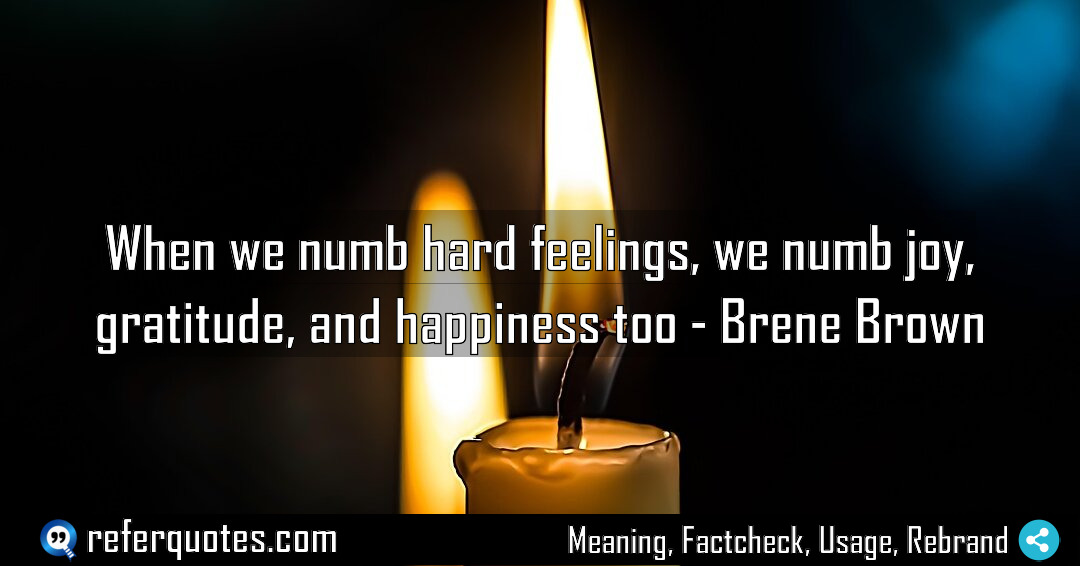 When we numb hard feelings we numb joy Meaning Factcheck Usage