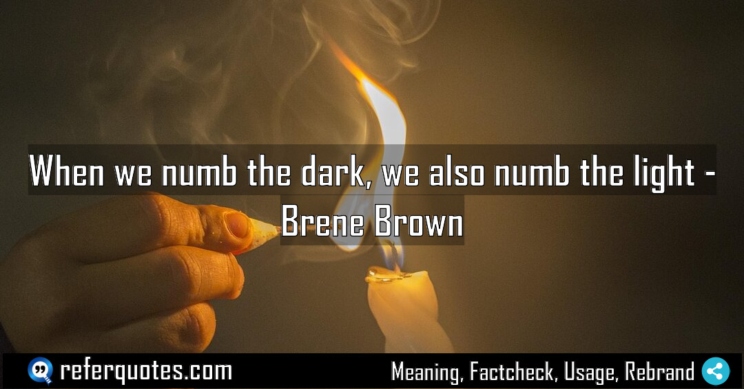 When we numb the dark we also numb Meaning Factcheck Usage