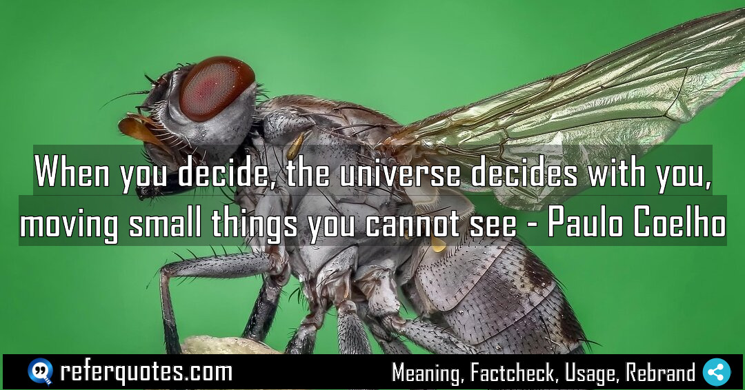 When you decide the universe decides with you Meaning Factcheck Usage