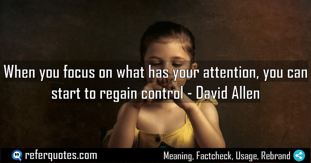 When you focus on what has your attention Meaning Factcheck Usage