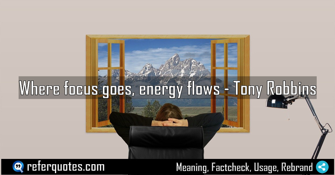 Where focus goes energy flows Meaning Factcheck Usage