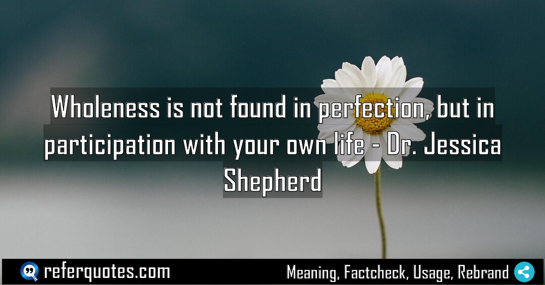 Wholeness is not found in perfection but in Meaning Factcheck Usage