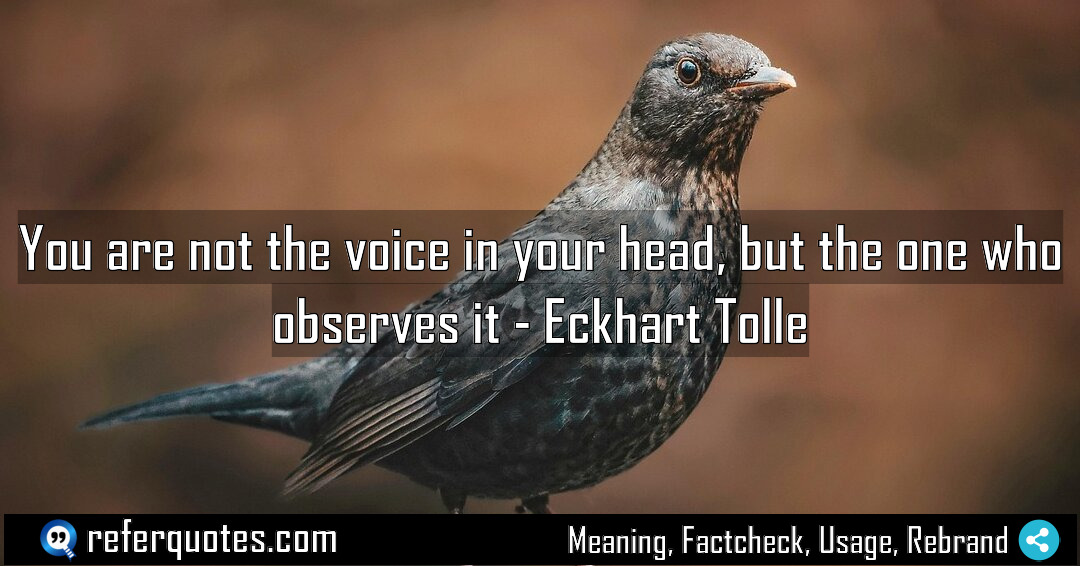 You are not the voice in your head Meaning Factcheck Usage
