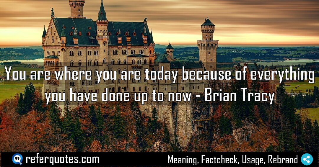 You are where you are today because of Meaning Factcheck Usage