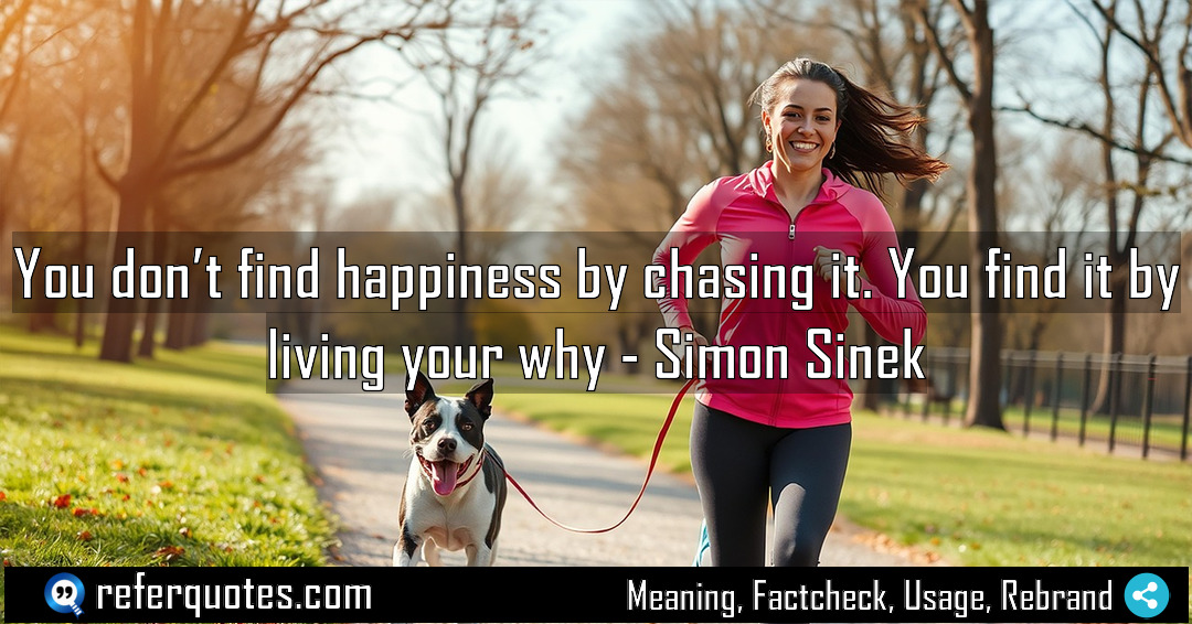 You don t find happiness by chasing it Meaning Factcheck Usage