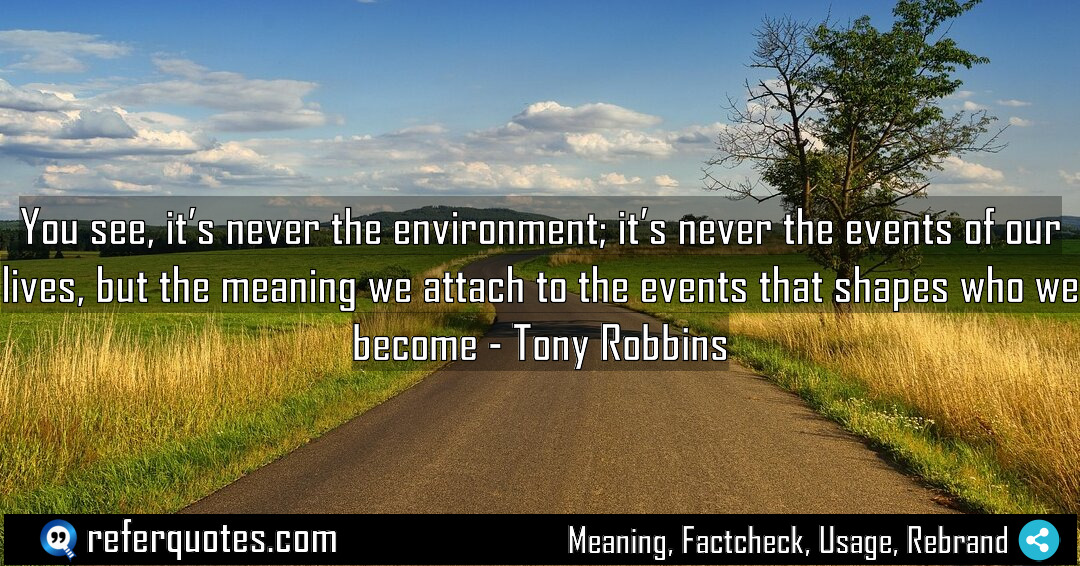 You see it s never the environment it Meaning Factcheck Usage