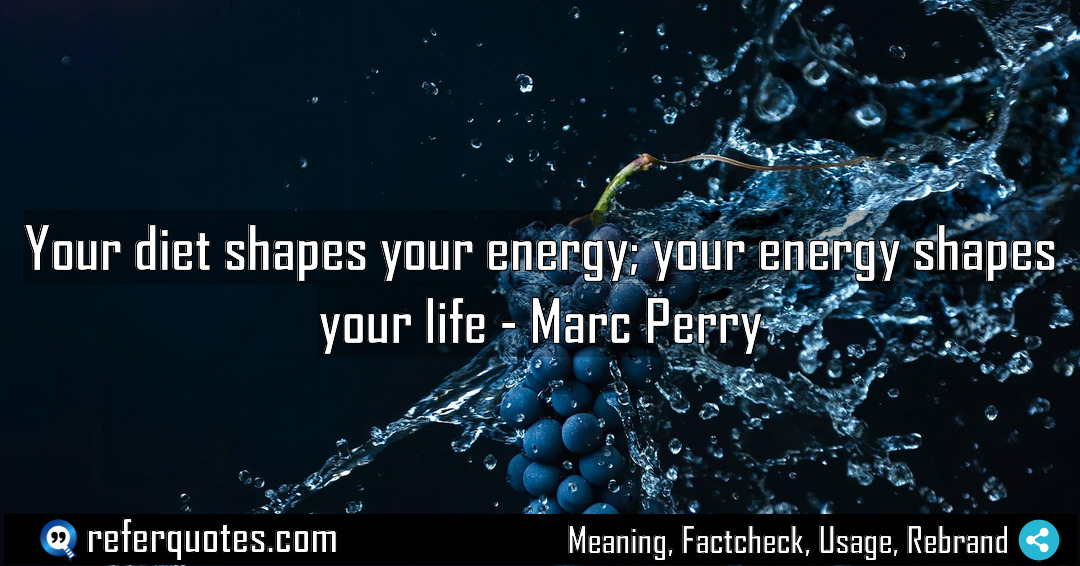 Your diet shapes your energy your energy shapes Meaning Factcheck Usage