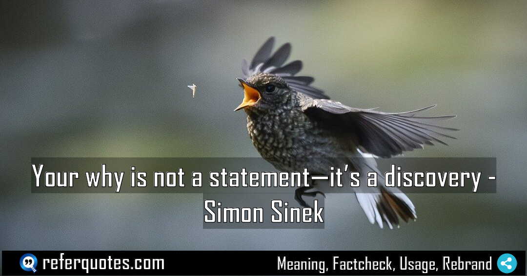 Your why is not a statement it s Meaning Factcheck Usage