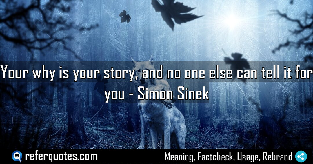Your why is your story and no one Meaning Factcheck Usage